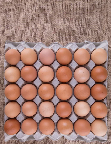 Chicken Eggs Egg Carton — Stock Photo, Image