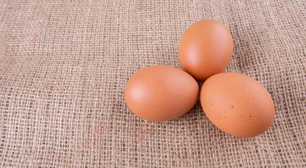 Κοτόπουλο Αυγά Είδος Λινάτσας Σάκο — Φωτογραφία Αρχείου