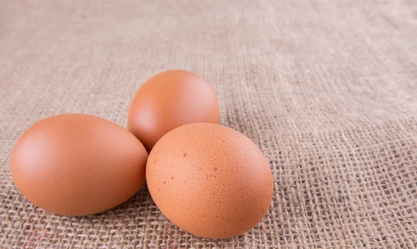 Куриное яйцо — стоковое фото
