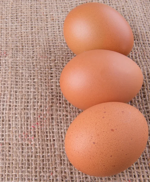 Huevo de pollo — Foto de Stock