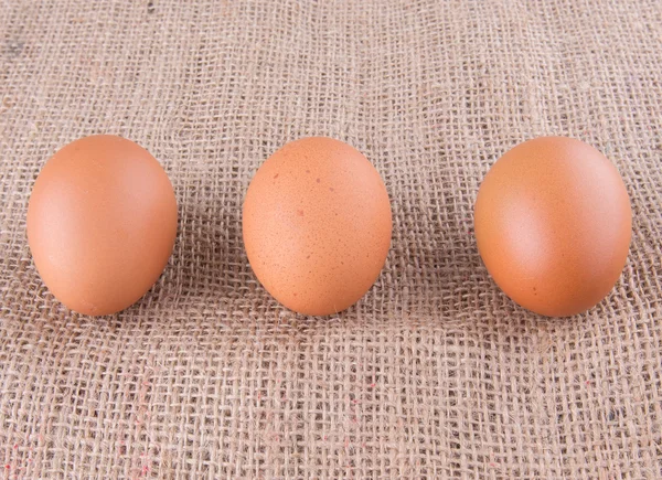 Huevos Pollo Saco Armas — Foto de Stock