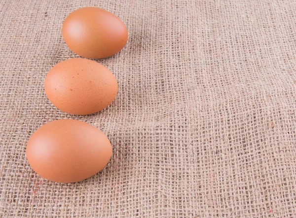 Κοτόπουλο Αυγά Είδος Λινάτσας Σάκο — Φωτογραφία Αρχείου