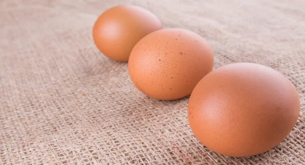 Huevos Pollo Saco Armas — Foto de Stock