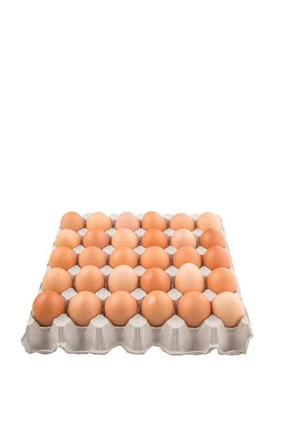 Chicken Egg — Stock Photo, Image