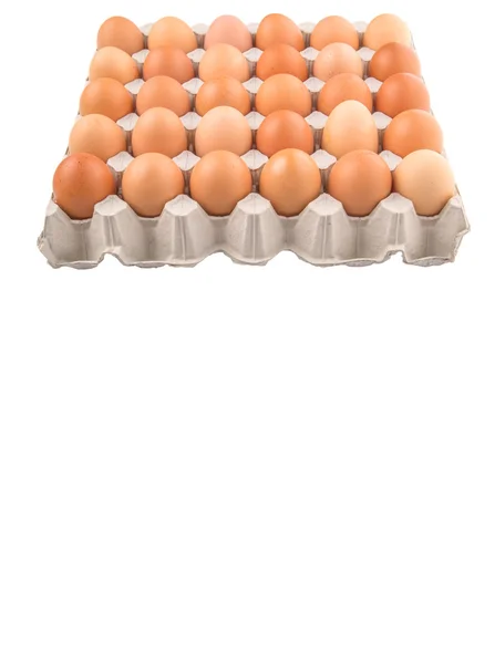 Chicken Egg — Stock Photo, Image