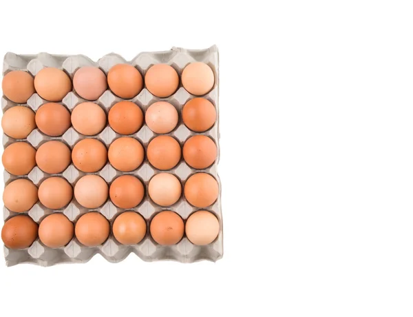 Chicken Egg — Stock Photo, Image