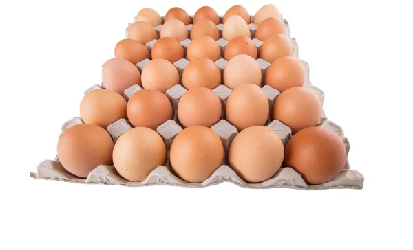 Hönsägg — Stockfoto