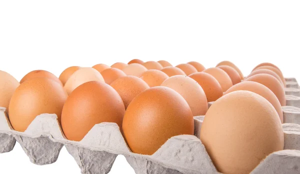 Huevo de pollo — Foto de Stock