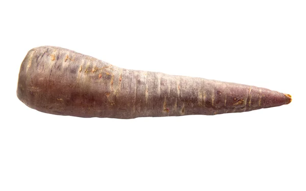 Purple Carrot — Stock Photo, Image