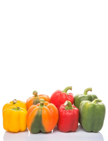 Een Groep Van Verschillende Kleuren Van Capsicum Witte Achtergrond — Stockfoto