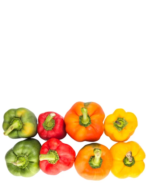 Farbenfroher Paprika — Stockfoto