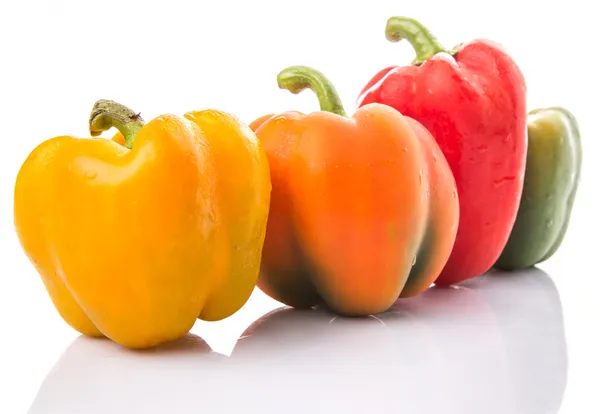 Capsicum colorato — Foto Stock