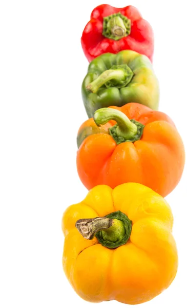 Colorful Capsicum — Stock Photo, Image