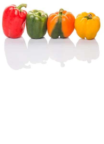 Een Groep Van Verschillende Kleuren Van Capsicum Witte Achtergrond — Stockfoto