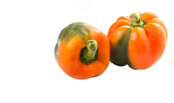 Capsicum Naranja Sobre Fondo Blanco —  Fotos de Stock