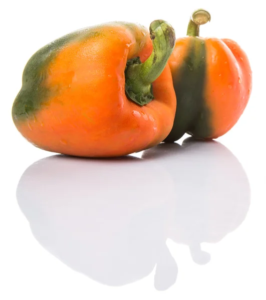 Capsicum orange — Photo