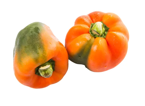 Capsicum naranja — Foto de Stock