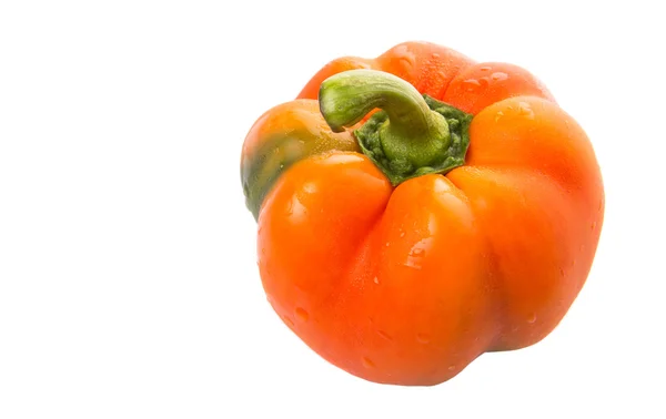 Capsicum Orange Sur Fond Blanc — Photo