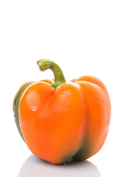 Capsicum laranja — Fotografia de Stock