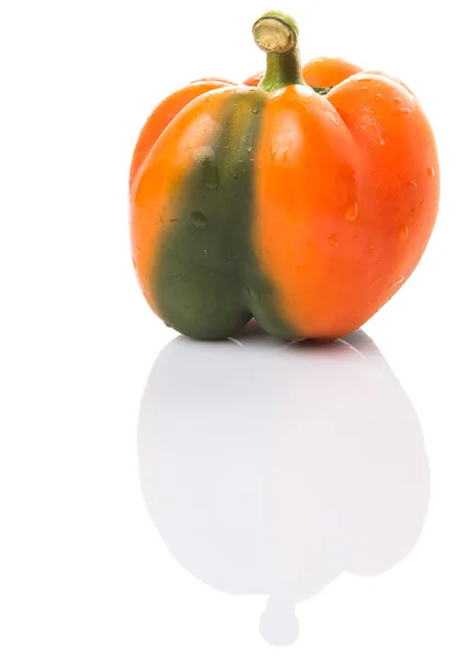 Narancssárga Capsicum Fehér Háttér — Stock Fotó