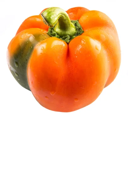 Narancssárga Capsicum Fehér Háttér — Stock Fotó