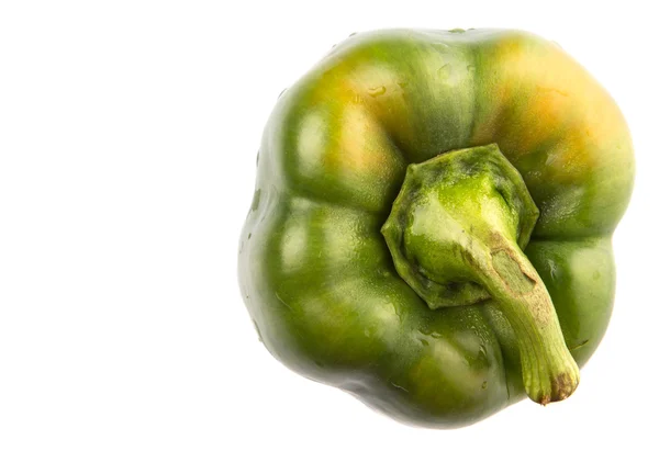 Green Capsicum — Stock Photo, Image