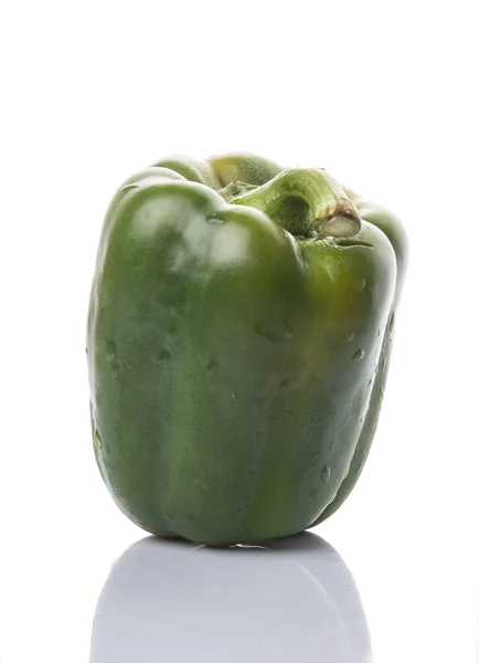 Capsicum verde — Foto de Stock