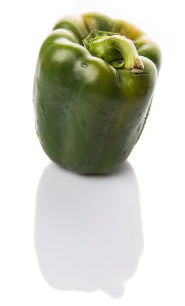 Capsicum verde — Foto de Stock