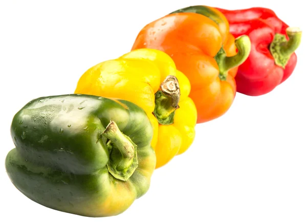 Colorful Capsicum — Stock Photo, Image