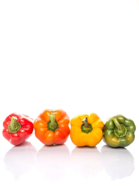 Capsicum colorato — Foto Stock