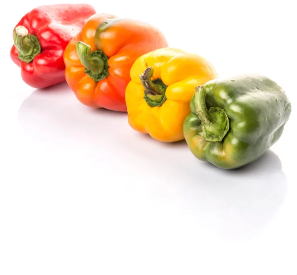 Capsicum coloré — Photo