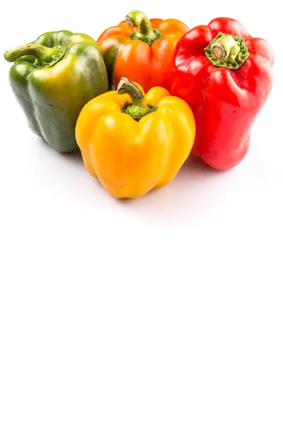 Capsicum colorato — Foto Stock