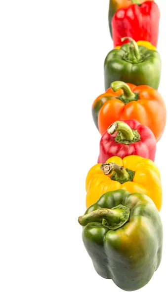 Een Groep Van Verschillende Kleuren Van Capsicum Witte Achtergrond — Stockfoto