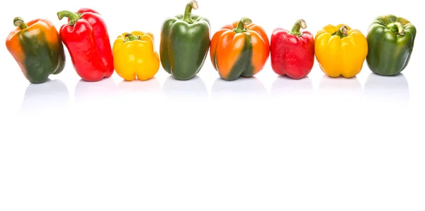 Eine Gruppe Verschiedener Paprikafarben Auf Weißem Hintergrund — Stockfoto