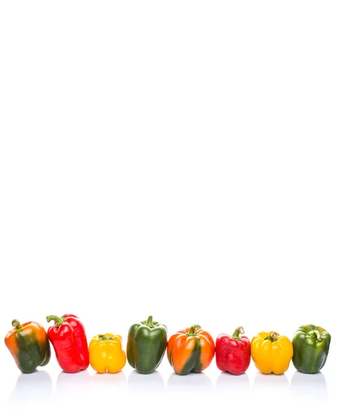 Colorful Capsicum — Stock Photo, Image