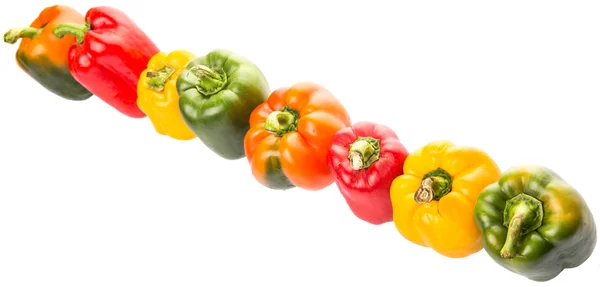 Capsicum colorato — Foto Stock