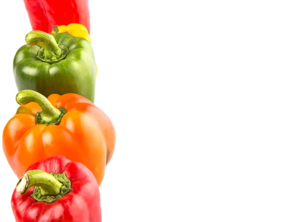 Een Groep Van Verschillende Kleuren Van Capsicum Witte Achtergrond — Stockfoto