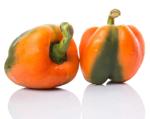 Orange Capsicum Zdjęcie Stockowe