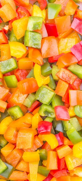 Colorful Capsicums — Stock Photo, Image