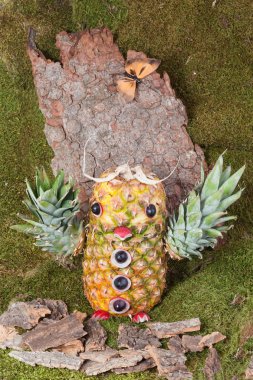 ananas üzerinden oyulmuş baykuş