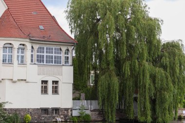 Old building directly in Brandenburg an der Havel with big tree in the garden