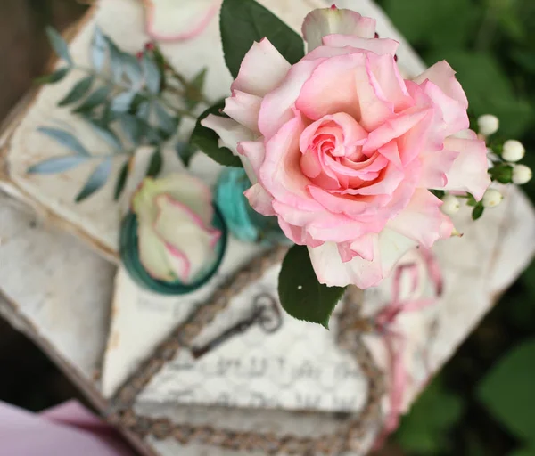 Naturaleza Muerta Con Una Rosa Jardín — Foto de Stock