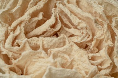 Doğal desenli arka plan, yakın plan, seçici odaklı kurumuş gül çiçeği.