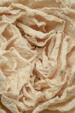 Doğal desenli arka plan, yakın plan, seçici odaklı kurumuş gül çiçeği.