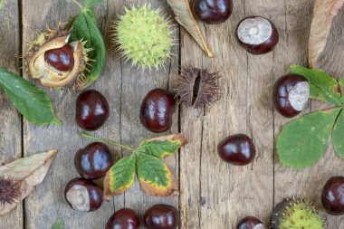 Sonbahar arkaplanı, çiğ at kestanesi ve ahşap masa üzerindeki kurumuş yapraklar.