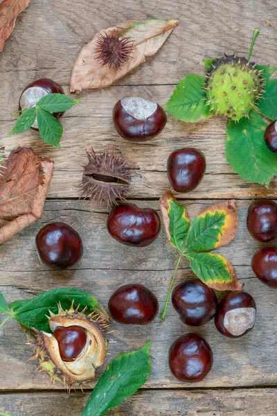 Autumn Background Raw Horse Chestnuts Dried Leaves Wooden Table — Stock Photo, Image