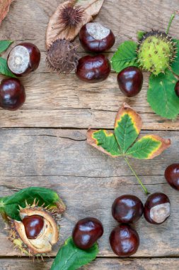 Sonbahar arkaplanı çiğ at kestanesi ve kurumuş yapraklarla ahşap bir masa üzerinde fotokopi alanı ile