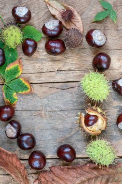Sonbahar arkaplanı çiğ at kestanesi ve kurumuş yapraklarla ahşap bir masa üzerinde fotokopi alanı ile