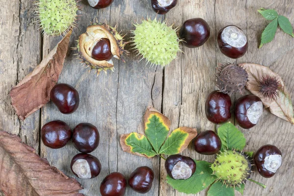 Fondo Autunnale Con Castagne Cavallo Crude Foglie Secche Tavolo Legno — Foto Stock