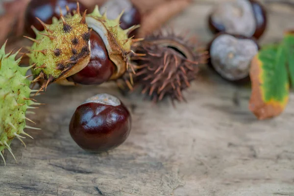 Fondo Autunnale Con Castagne Cavallo Crude Foglie Secche Tavolo Legno — Foto Stock